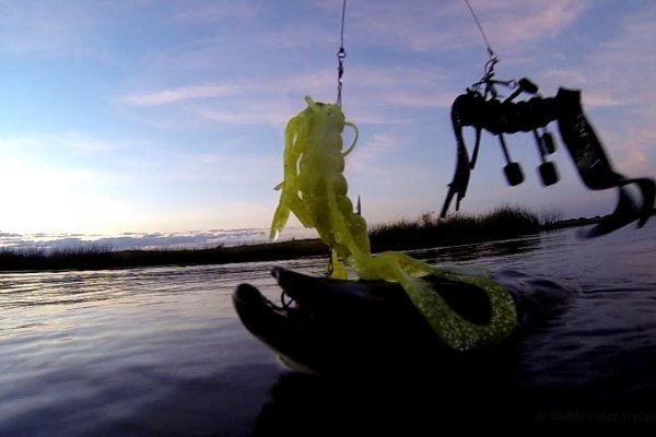 Kraken18 at